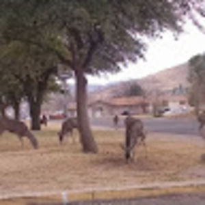 Meet your Posher, Patricia